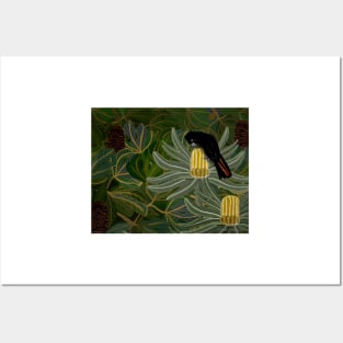 Red Tailed Black Cockatoo and Banksia Seed Pods Posters and Art